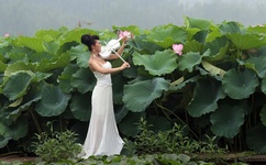 歪歪漫画网站登录页面入口